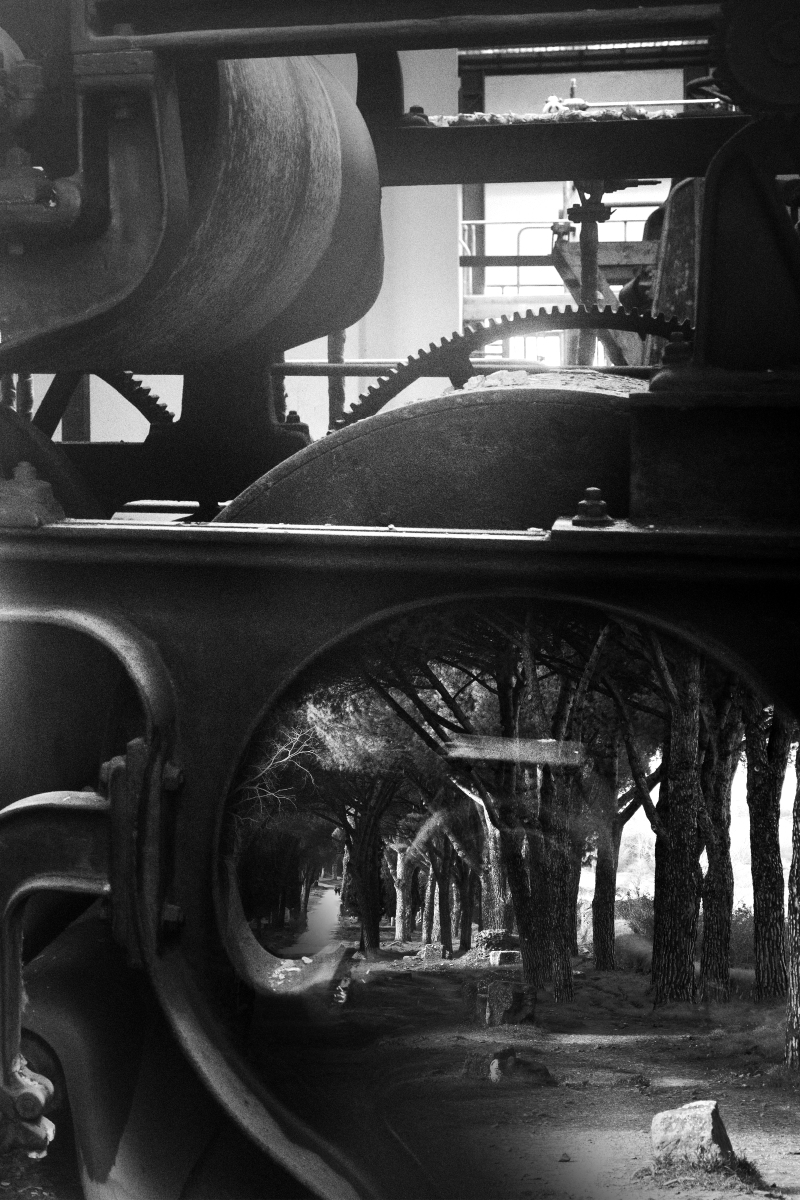 L’Almone, un paesaggio del lavoro